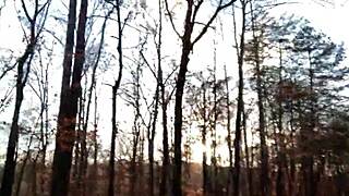 Clitlicker662 Flashes Solo in Crazy Forest Update on Nov 26, 2024. Wild Outdoor Homemade Action Unfolds in Nature.