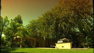 Tiny cytheria bends over for fucking, blowjob, and facial.