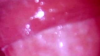 Intriguing close-up of pretty Japanese amateur giving intense blowjob and face fucking