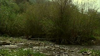 Taylor Rain Enjoys Intense Session With Partner