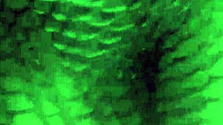 Married woman with a nice ass dancing and shaking her ass