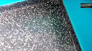 quick cash deal turned into a wild ride with a prostitute begging for cum