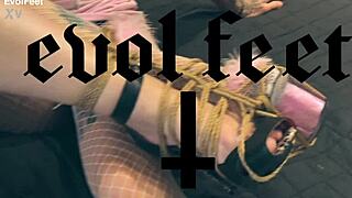 Bondage Foot Worship Now!