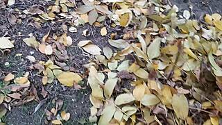 me and the forester girl had an awesome fuck in the hut, pure lesbian illusion