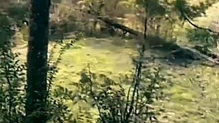 Outdoor sex with a stranger who's been watching me for days!