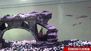 I’m obsessed with hot brunette Tiffany Tyler taking Tommy Gunn’s big dick