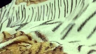 Beautiful Amateur Shares Morning Masturbation Routine Before College