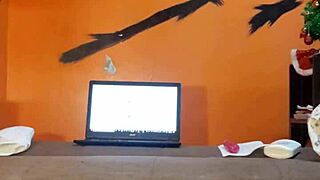 Playful Moments with Toys in Bisexual Settings for Fun Exploration