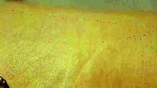 Hot Wife Shows All on Nudist Beach