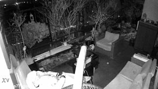 M4rkus77 Caught Jerking and Cumming Loudly on Hidden Spy Cam Outdoors