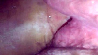 Amateurs engage in a rica cogida with intense passion