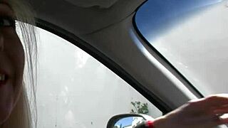 blonde cougar enjoys a ride in the car with friends. they explore group activities together.