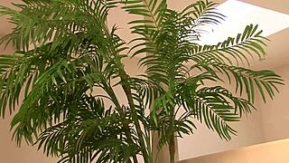 Beautiful Black Woman Squirts on Big Cock