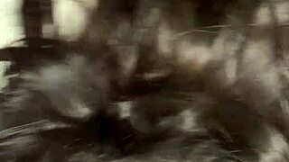 Smashing this hot Carioca babe with raw power and grit