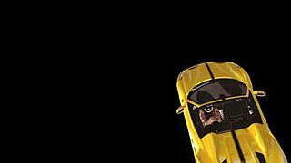 Loudly in Love Chronicles Episode 5 features bound Indian young 18+ American amateurs in oral scenes.