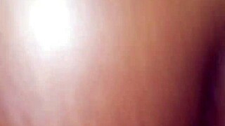 i trade fucking this shemale ass in tampa florida