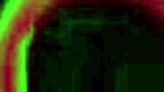 Kandi Bossbitch And Rome Major Engage In A Wild Threesome