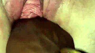 Feeling The Power Of BBC The Don With Thick BBW