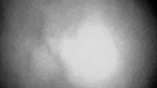 amateur gets her ass fucked hard in wild anal sex!