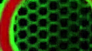 Mature bbw sara jay plays with her ass cheeks 😍