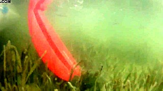 Flashing Huge Tits Boldly on Public Outdoor Boat Ride