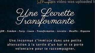 i'm doin' doggy in furry suit