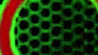 Finger Fucking Sara Jay To Orgasm On Kitchen Counter