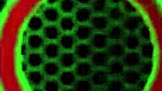 Classy Bombshell Natalia Starr Spreads Big Ass