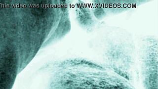 Vintage erotic drawings showcase hairy beaver in bold retro style for collectors.