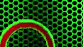 Gabby Quinteros Eats That Hammy Latina Pussy In Lingerie