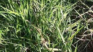 Chamei Ele Pra Entrar No Terreno Comigo E Fodemos No Mato