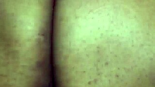 Fat BBW Rides In Reverse Cowgirl Position