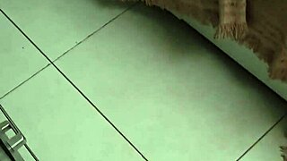 Despiertan A Lulita Star Con Un Vergazo En La Boca. Big Tits Brunette Takes It Hard In Amateur Action.