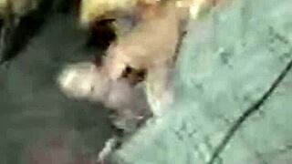 Curious about a quick hand job in group settings