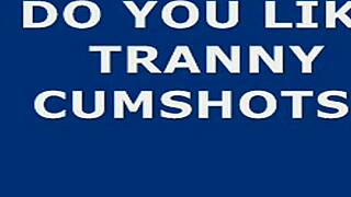 oh that shemale's monster cock exploding in a hot cumshot on webcam makes me feel so aroused and emotional