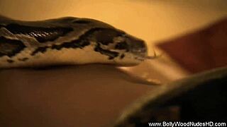 Indian woman shows off gorgeous natural body in erotic dance