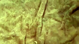 Compilation of Various Scenes