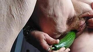 German granny stuffs her hairy pussy with a big cucumber in wild solo session