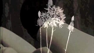 Vintage Dark London in the Shadows of the Swinging Sixties Interracial Threesome