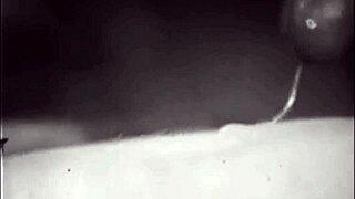 Vintage Dark London in the Shadows of the Swinging Sixties Interracial Threesome