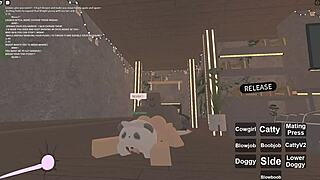 Amateur Whore Takes First Time Deepthroat And Anal In Cowgirl Position