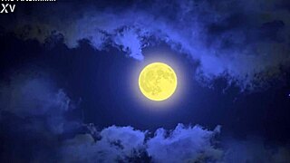 A Mysterious Figure Explores Hidden Desires in a Surprising Twist of Roleplay and Adventure