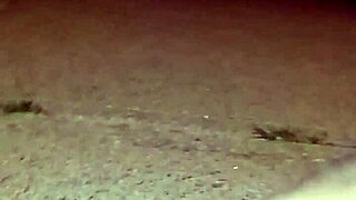 4 जुलाई हॉलिडे पार्टी के वाइल्ड एनल सेशन से लौटे