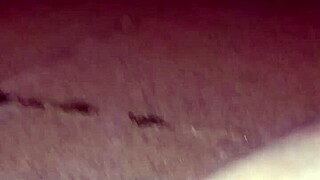 4 जुलाई हॉलिडे पार्टी के वाइल्ड एनल सेशन से लौटे