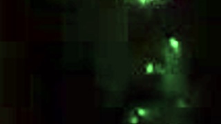 I just cant stop giving these deepthroat blowjobs leading to creampie throatpies with big black cock.