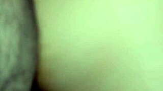 Discover The Bold Spirit And Vibrant Landscapes Of Mexico