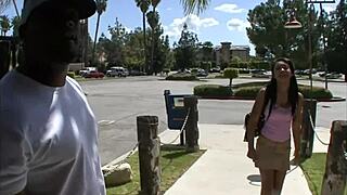 Rhianna Ryan Worships A Big Black Hard Cock With Her Mouth And Hands