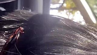 risky outdoor sex compilation with cumshots