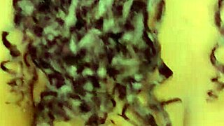 sundaydogood614 shares retro lesbian shaved pussy update