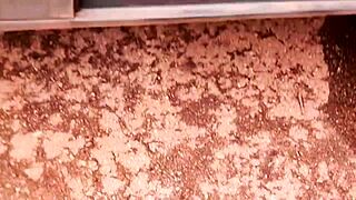 i took my stepson vagninho put him in my car and said i had a surprise outdoors for him to cum in my ass in fact he made my ass overflow luna oliveira e vagninho